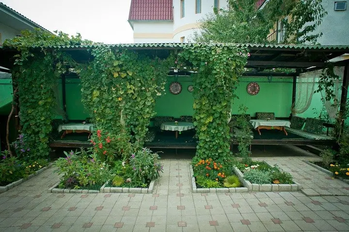 Судак: Pension Champion