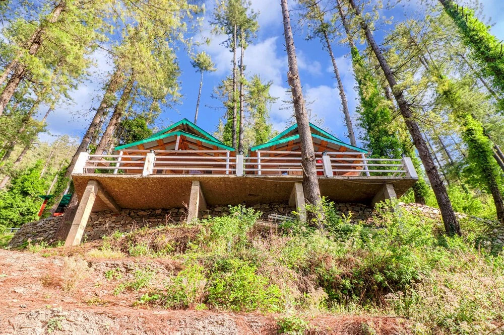 Наинитал: Oak N Pine by Dumnu Homes