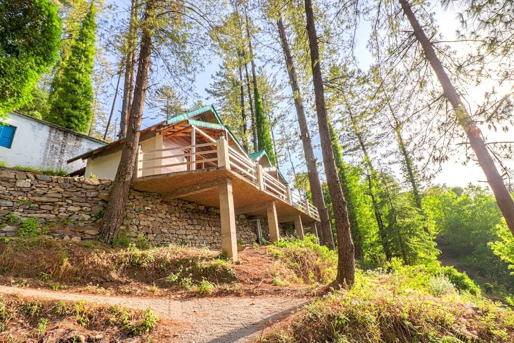 Наинитал: Oak N Pine by Dumnu Homes