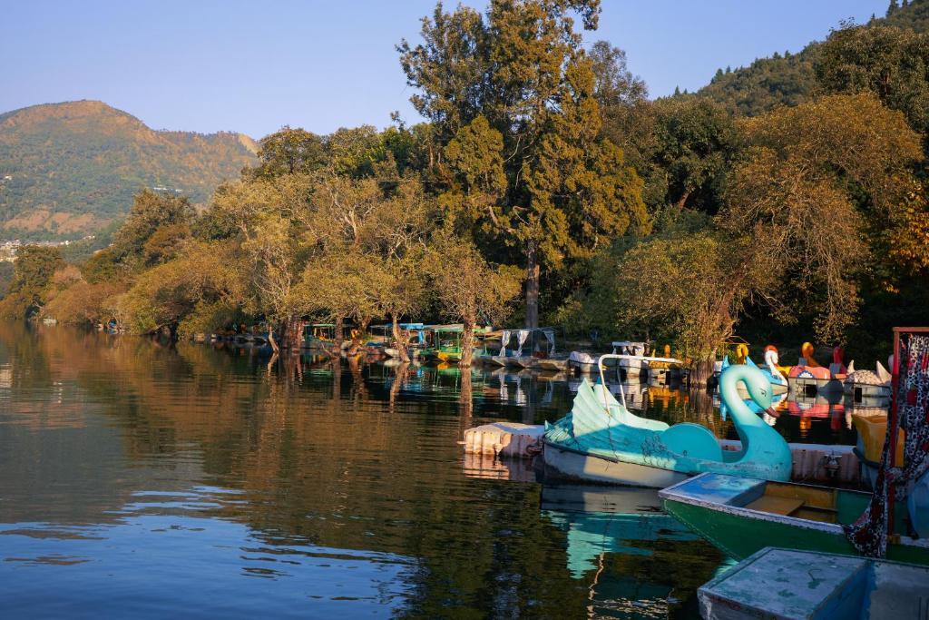Наинитал: BluSalzz Homes - The Green Roof, Bhimtal - Uttarakhand