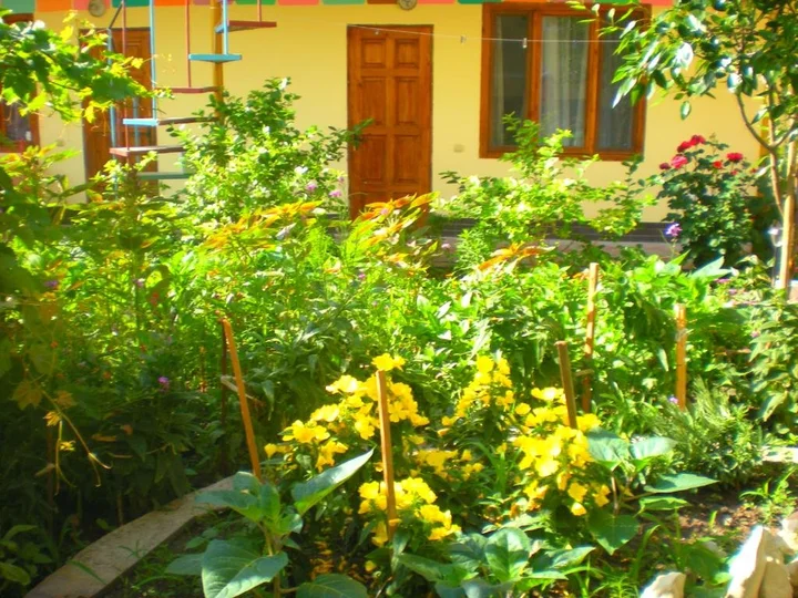 Судак: Sudak Guest House