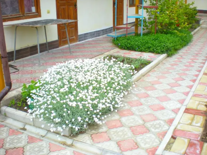 Судак: Sudak Guest House