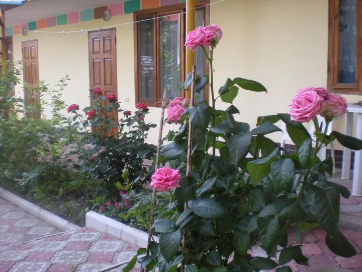 Судак: Sudak Guest House