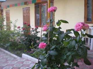 Судак: Sudak Guest House