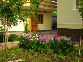 Судак: Sudak Guest House
