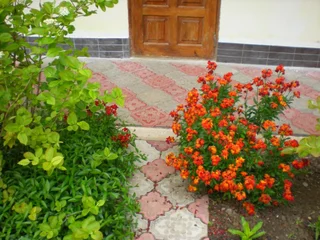 Судак: Sudak Guest House