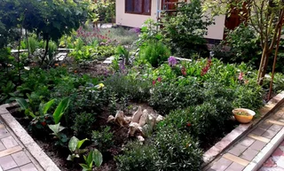 Судак: Sudak Guest House