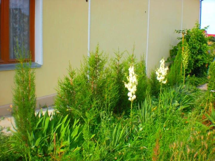 Судак: Sudak Guest House