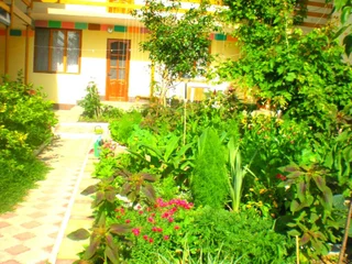 Судак: Sudak Guest House