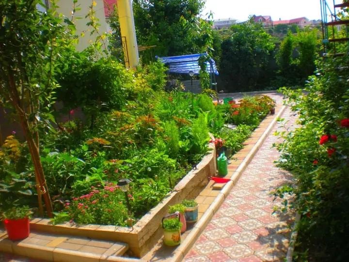 Судак: Sudak Guest House