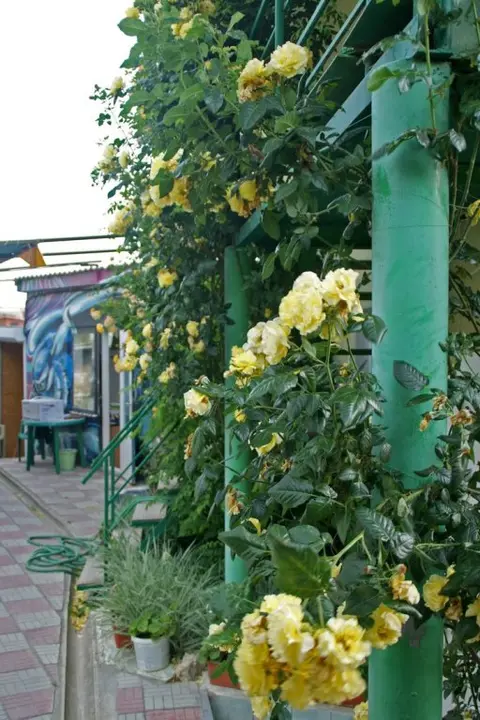 Судак: Хостел Судак