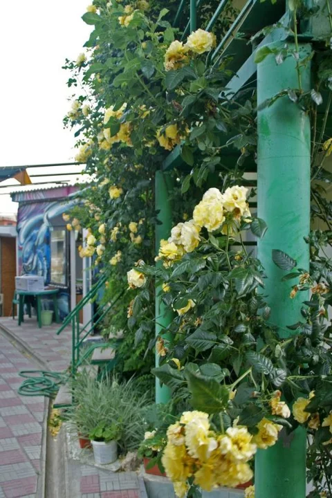 Судак: Хостел Судак