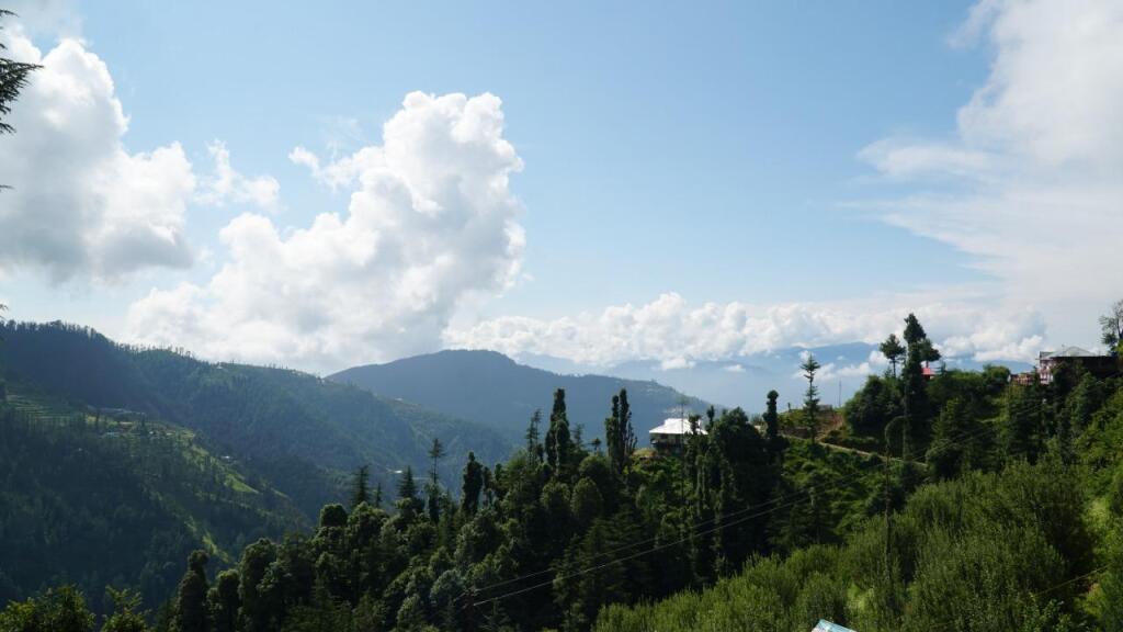 Куфри: The Jungle Mountain Retreat