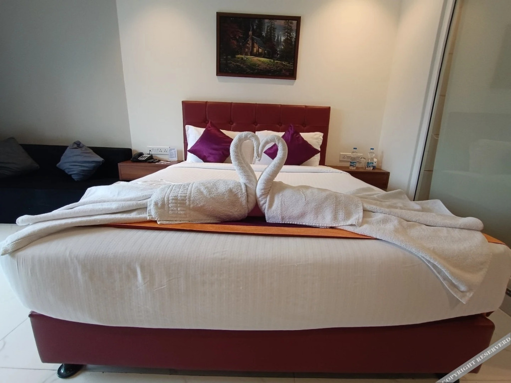 Райпур: Tulip Arena Hotel Club Event By SGL