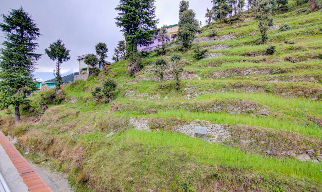 Чамба: Treebo Down Town, Dalhousie