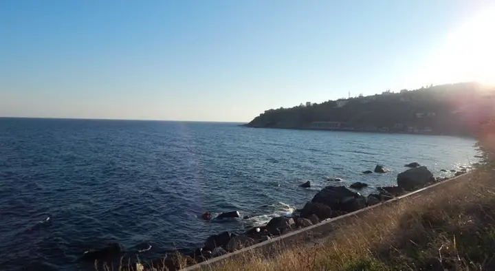 Алупка: Гостевой дом Лазурный берег
