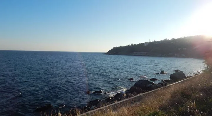 Алупка: Гостевой дом Лазурный берег