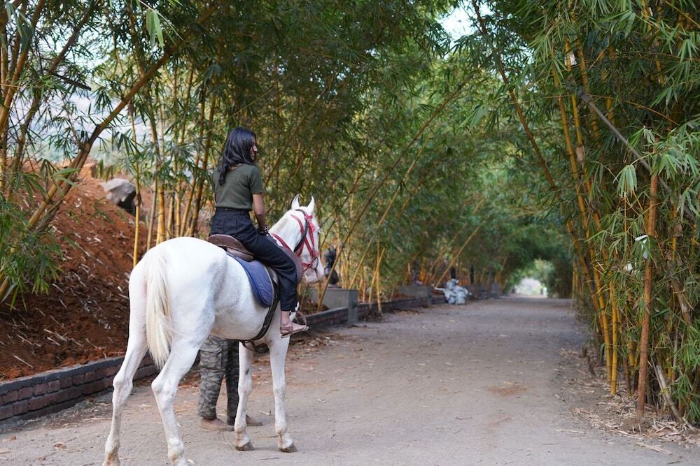 Хандала: Malhar Machi Mountain Resorts