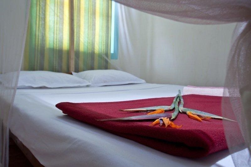 Cuba Retreat Mandrem — фото 3