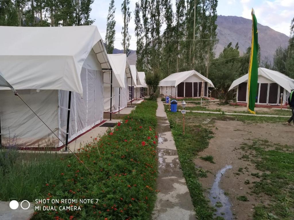 Хундер: Lumbini Camp- Nubra Valley