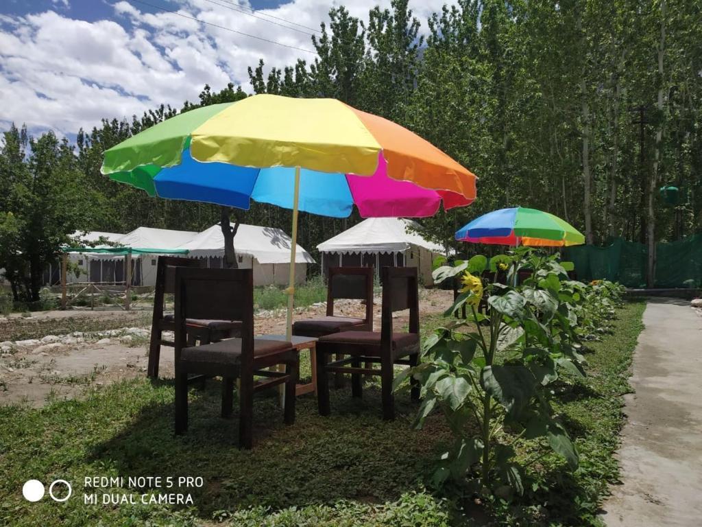 Хундер: Lumbini Camp- Nubra Valley
