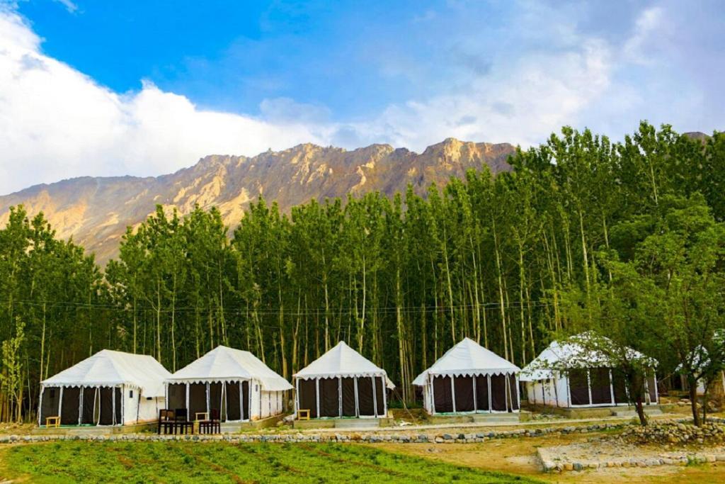 Хундер: Lumbini Camp- Nubra Valley
