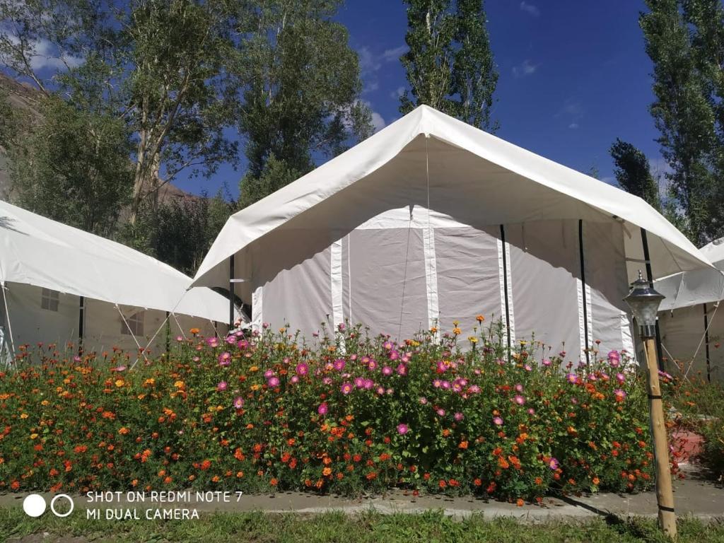 Хундер: Lumbini Camp- Nubra Valley