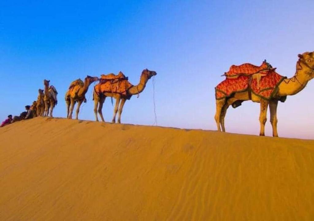 Каной: Sana Desert Safari Camp Jaisalmer