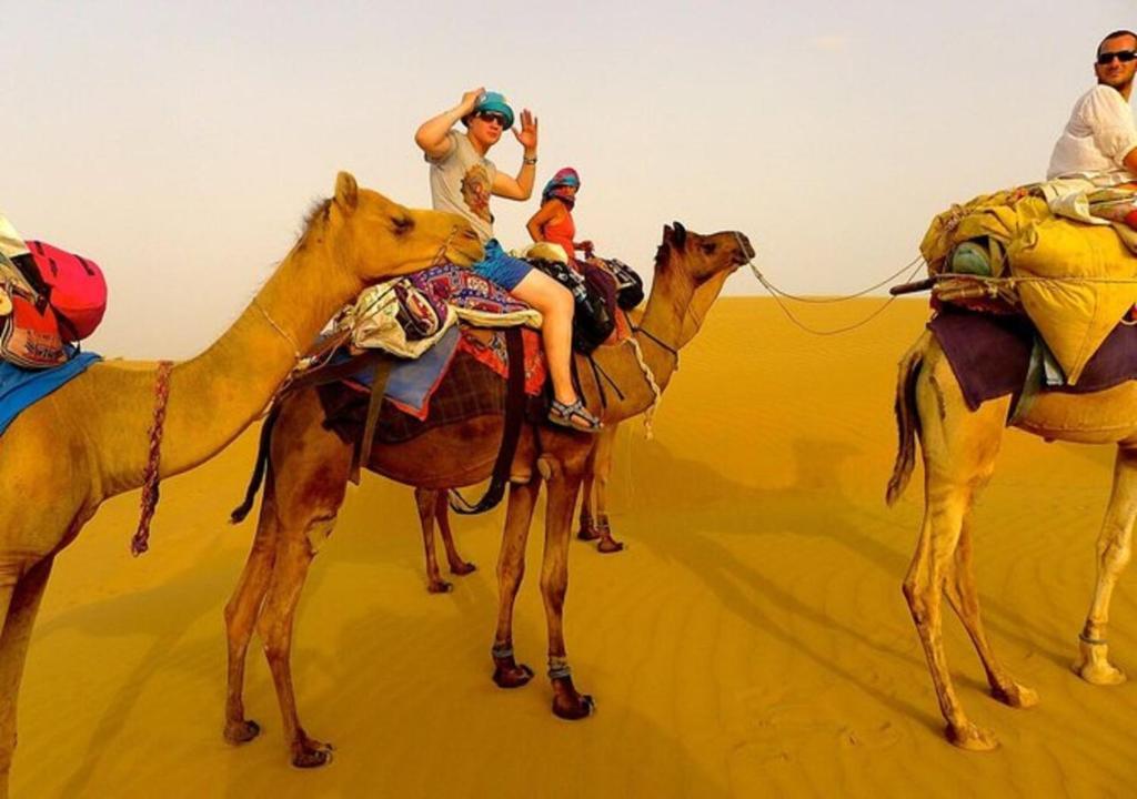 Каной: Sana Desert Safari Camp Jaisalmer