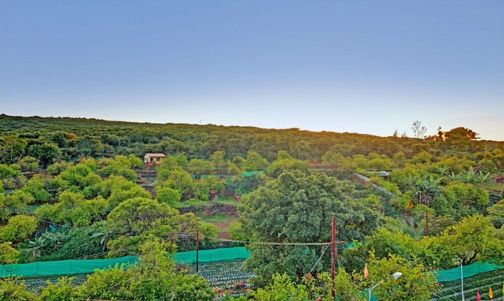 Олд-Махабалешвар: Treebo Trend Shivay Resort