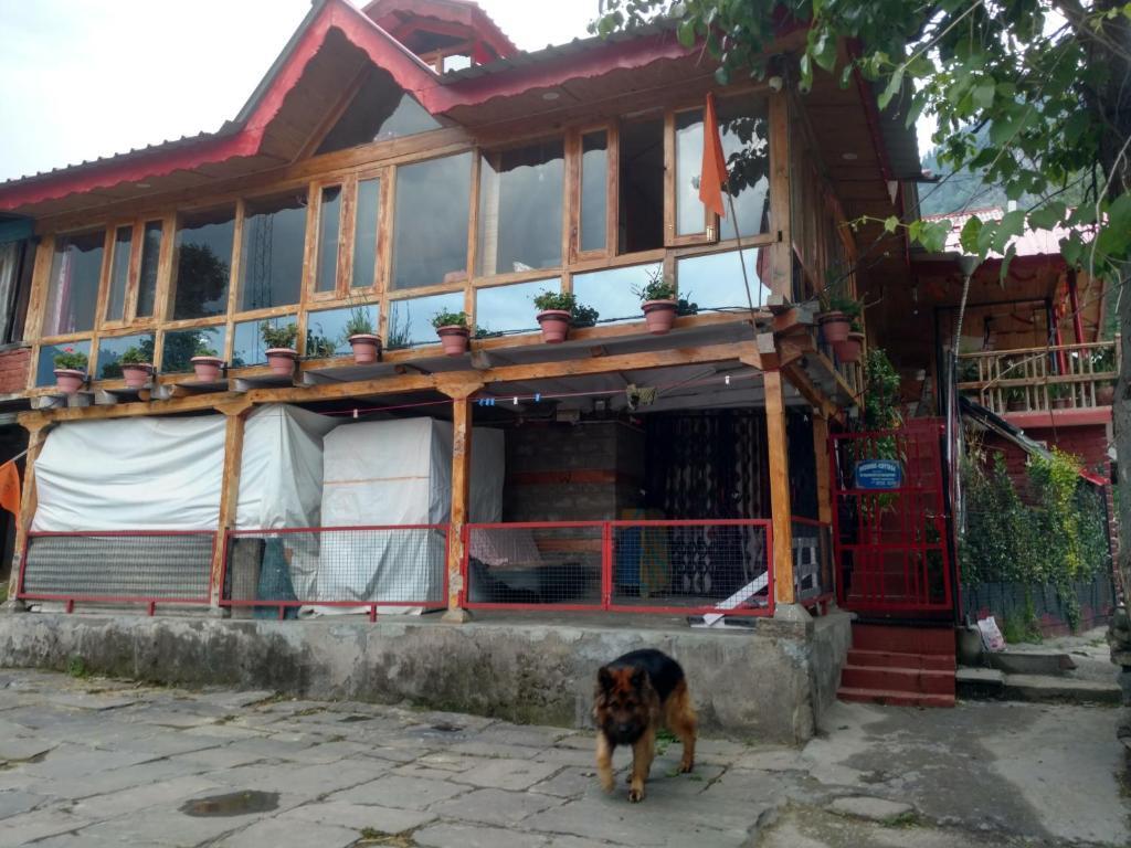 Манали: Deoshar Cottage