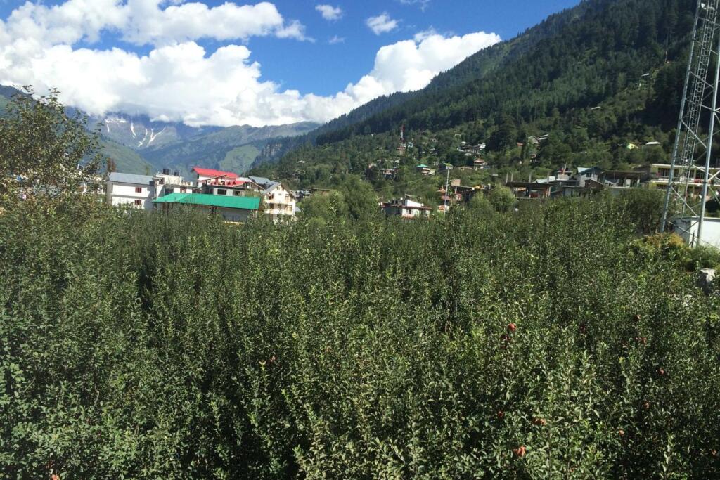 Манали: Apple Paradise Manali Hotel