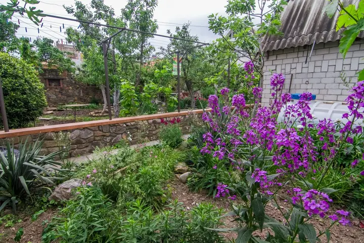 Алушта: Гостевой дом Каменный остров