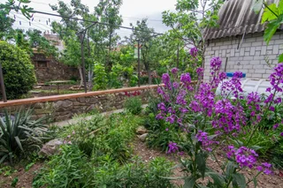 Алушта: Гостевой дом Каменный остров