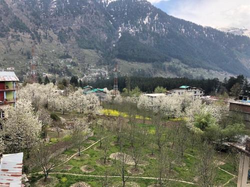Манали: Drifters' Inn & Cafe Guesthouse