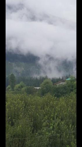 Манали: Drifters' Inn & Cafe Guesthouse