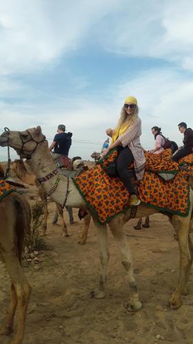 Джайсалмер: Hotel Sallu Safari