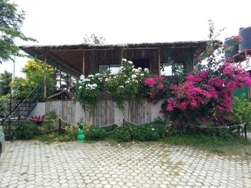 Ути: Misty Wood Resorts
