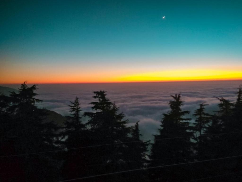 Техри: Dhanaulti Jungle Resort