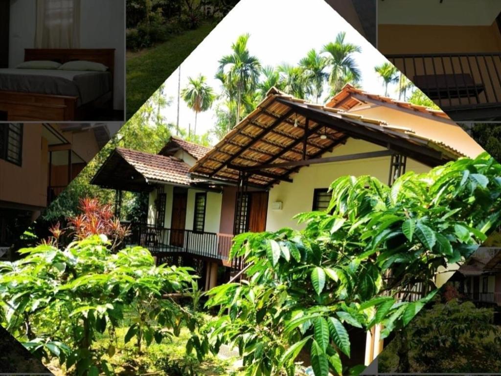 Велламундра: Family villa .hut
