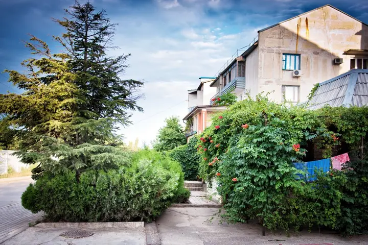 Коктебель: Гостевой Дом Prohlada Green