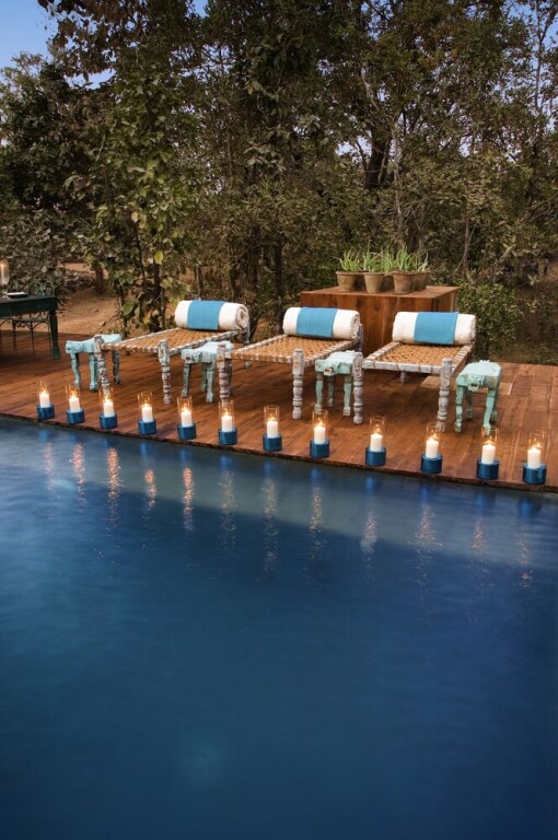 Турья: Taj Baghvan at Pench National Park