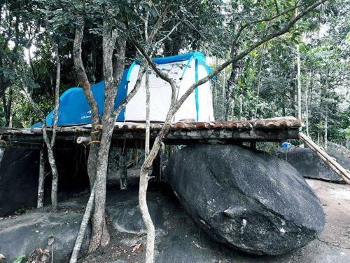Султан-Батери: Evergreen Tent Stay & Trekking