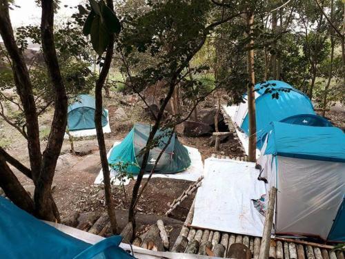 Султан-Батери: Evergreen Tent Stay & Trekking