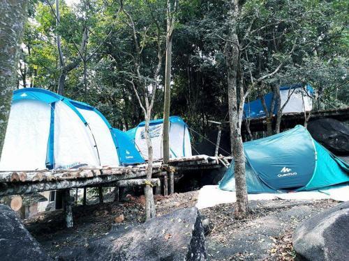 Султан-Батери: Evergreen Tent Stay & Trekking