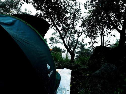 Султан-Батери: Evergreen Tent Stay & Trekking