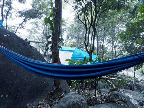 Султан-Батери: Evergreen Tent Stay & Trekking