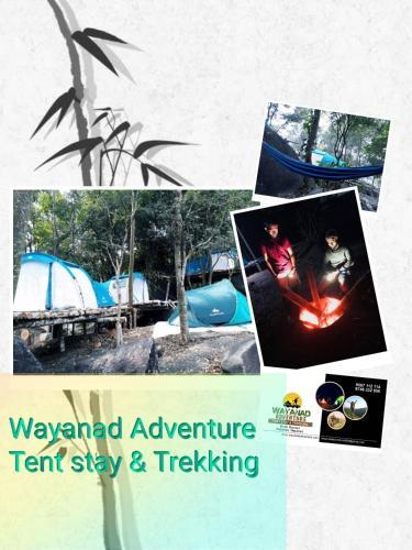 Султан-Батери: Evergreen Tent Stay & Trekking