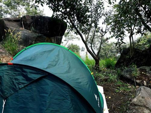 Султан-Батери: Evergreen Tent Stay & Trekking