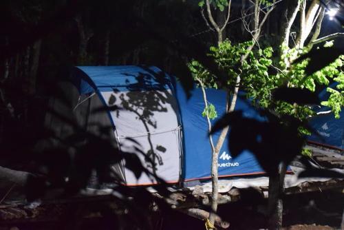 Султан-Батери: Evergreen Tent Stay & Trekking